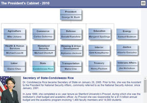 US President's Cabinet in 2010